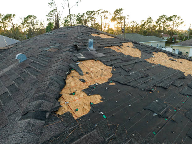 Best Roof Coating Services  in Evanston, IL