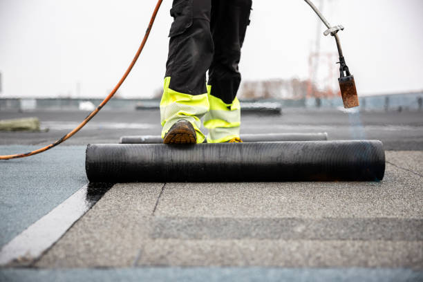 Best Roof Ventilation Installation  in Evanston, IL