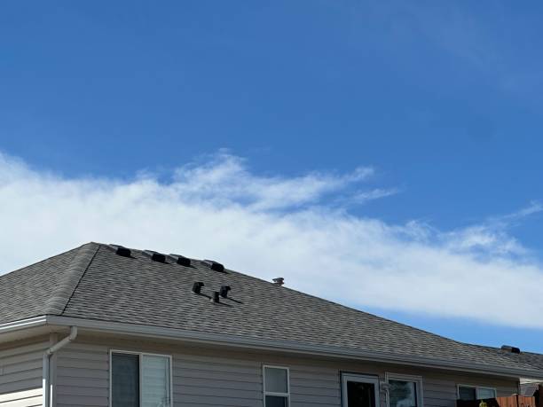 Best Sheet Metal Roofing  in Evanston, IL